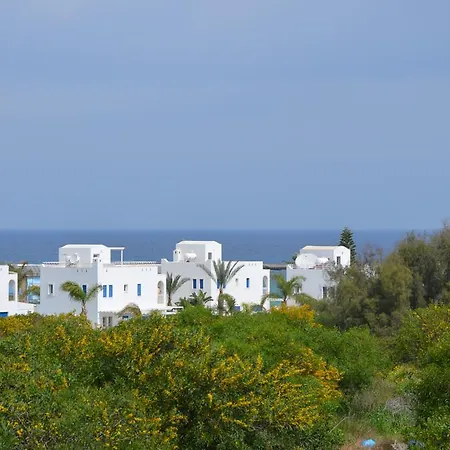 Anthorina 8 فيلة